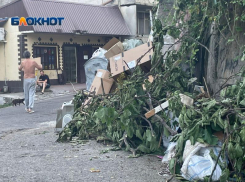 От 14 тысяч рублей надо заплатить жителям Сочи за вывоз строительного мусора и веток