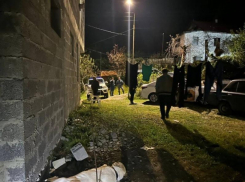 Алабай растерзал двух школьников в Сочи