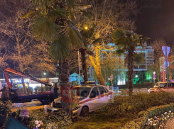 Автомобиль Росгвардии врезался в дерево на Курортном проспекте в Сочи