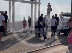 Истощенного буйвола принесло штормом к берегу Сочи из Абхазии