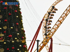 Сочи Парк анонсировал программу на новогодние праздники