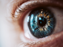 Первый в России зрительный нейроимплант испытали в Сочи