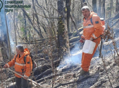 18 гектаров лесной подстилки сгорело на склоне горы Кума в Сочи