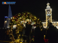 Проблемы с интернетом, высокие цены и отсутствие снега: эксперты прогнозируют Сочи провальный зимний сезон