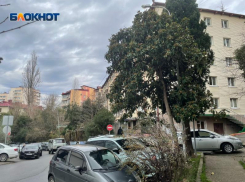 С февраля ещё на 36 улицах и переулках Сочи введут платные парковки
