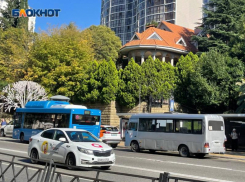 Новый автобусный маршрут появится в Сочи