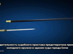 Клинок в трости пытался пронести посетитель в суд Сочи