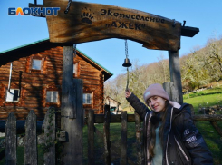 В нацпарке Сочи приступили к выявлению безбилетников