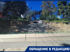  «Не осталось и следа»: в Сочи уничтожили знаменитую мимозу на Приморской набережной
