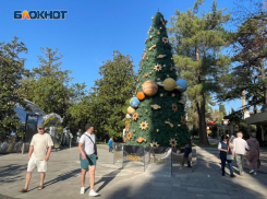 Елки и шорты: новогодняя атрибутика появляется в жарком Сочи