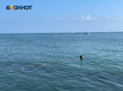 В Сочи запустили фейк о загрязнении Черного моря мазутом