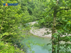 В Абхазии мужчина скончался от того, что не смог спасти тонущую племянницу