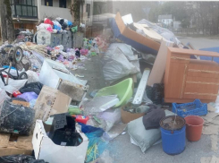 Мусор стал забирать дороги у улиц Сочи