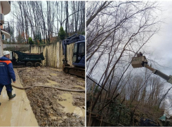 Грязь убирают, деревья обрезают: в Сочи ликвидируют оползень по улице Петрозаводской 