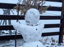 В горах Сочи появился первый снеговик