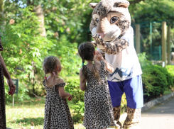 2 тысячи человек пришли на Фестиваль леопарда в Сочи