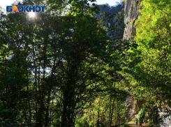 Суд восстановил права на землю возле нацпарка для 60 жителей Сочи 