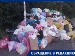 «Курорт превращается в свалку»: жители Сочи не перестают жаловаться на вывоз мусора