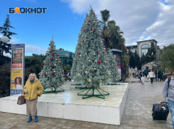 Сочи попал в Топ-3 городов для ранних новогодних бронирований