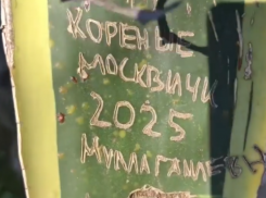 «Коренные москвичи» изуродовали растение в Абхазии 