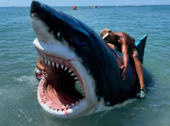 За 300 тысяч рублей продают в Сочи акулу для фотосессий