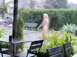 Голая женщина гуляла по центру Сочи