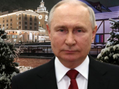Новогоднее поздравление от Путина продают в Сочи за 500 рублей