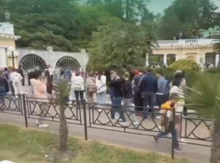 В Сочи выстроилась огромная очередь желающих попасть в Дендрарий 