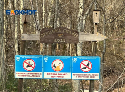 65 тысяч человек посетили Сочинский национальный парк в 2024 году