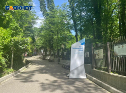 Дронами будут искать нарушителей в Сочинском нацпарке