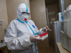 В Сочи за сутки выявили 83 новых случая заболеваний коронавирусом