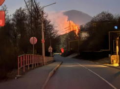 Лес загорелся около села в Сочи