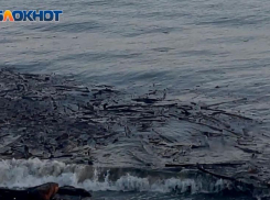 Пляжи Сочи после мощных ливней оказались завалены мусором 