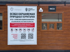 Сочинский нацпарк поднял цены на билеты