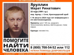 Три месяца в Сочи не могут найти пропавшего без вести россиянина