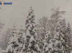 Около 40 сантиметров снега выпало в горах Сочи