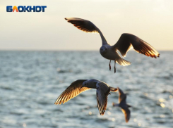 Синоптики дали прогноз на первые дни весны в Сочи