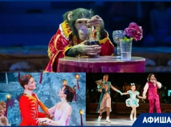 Шоу «Цирк в гостях у сказки», премьера от Татьяны Навки и «Щелкунчик»: афиша новогодних мероприятий в Сочи