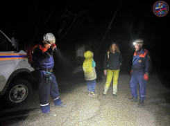 Женщина с ребенком потерялась в Тисо-самшитовой роще Сочи