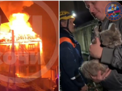 В Сочи из пожара спасли котика