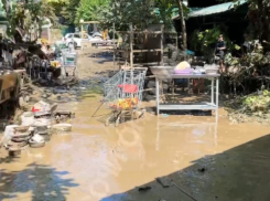 В грязевое болото превратилась турбаза в Сочи