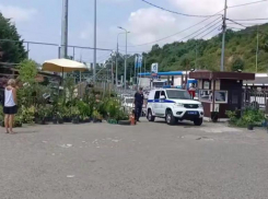 Рынок в Сочи, где продавали смертельную чачу, закрывают