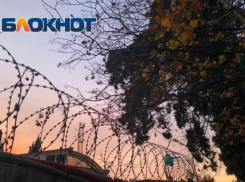Трех мужчин, находящихся в розыске, поймали на территории Сочи 