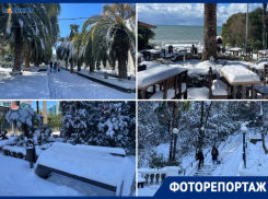 Пальмы оказались в снегу, а гости Сочи остались в восхищении от погоды