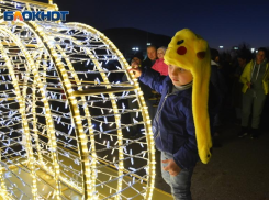 В Сочи стартовал конкурс на новогоднее оформление города