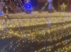 Гирлянда обвалилась с новогодней ели в Абхазии