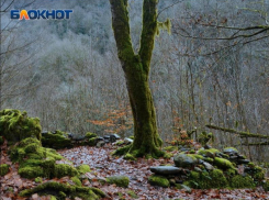 Третий раз за месяц, спасателям Сочи пришлось помогать туристам в Агурском ущелье