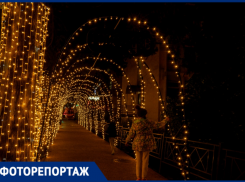 Улицы засияли новогодними огнями: фоторепортаж с новогодней атмосферой Сочи 