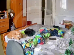 Землетрясение магнитудой 4,5 в Сочи попало на видео