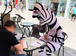 В Сочи оштрафовали навязчивого аниматора-вымогателя в костюме зебры